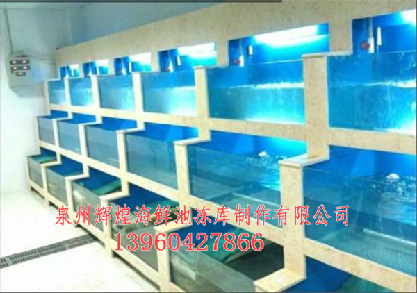 武汉海鲜池_武汉海鲜池工程_武汉做海鲜池 厂家价格