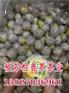 新会柑普茶厂家定制批发御广陈厂家加工批发