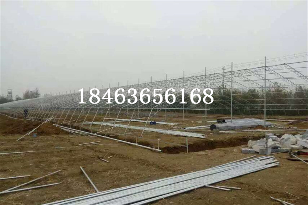 山东日光温室，蔬菜温室大棚建设&nbsp;&nbsp;日光温室大棚&nbsp;&nbsp;薄膜温室&nbsp;&nbsp;蔬菜大棚