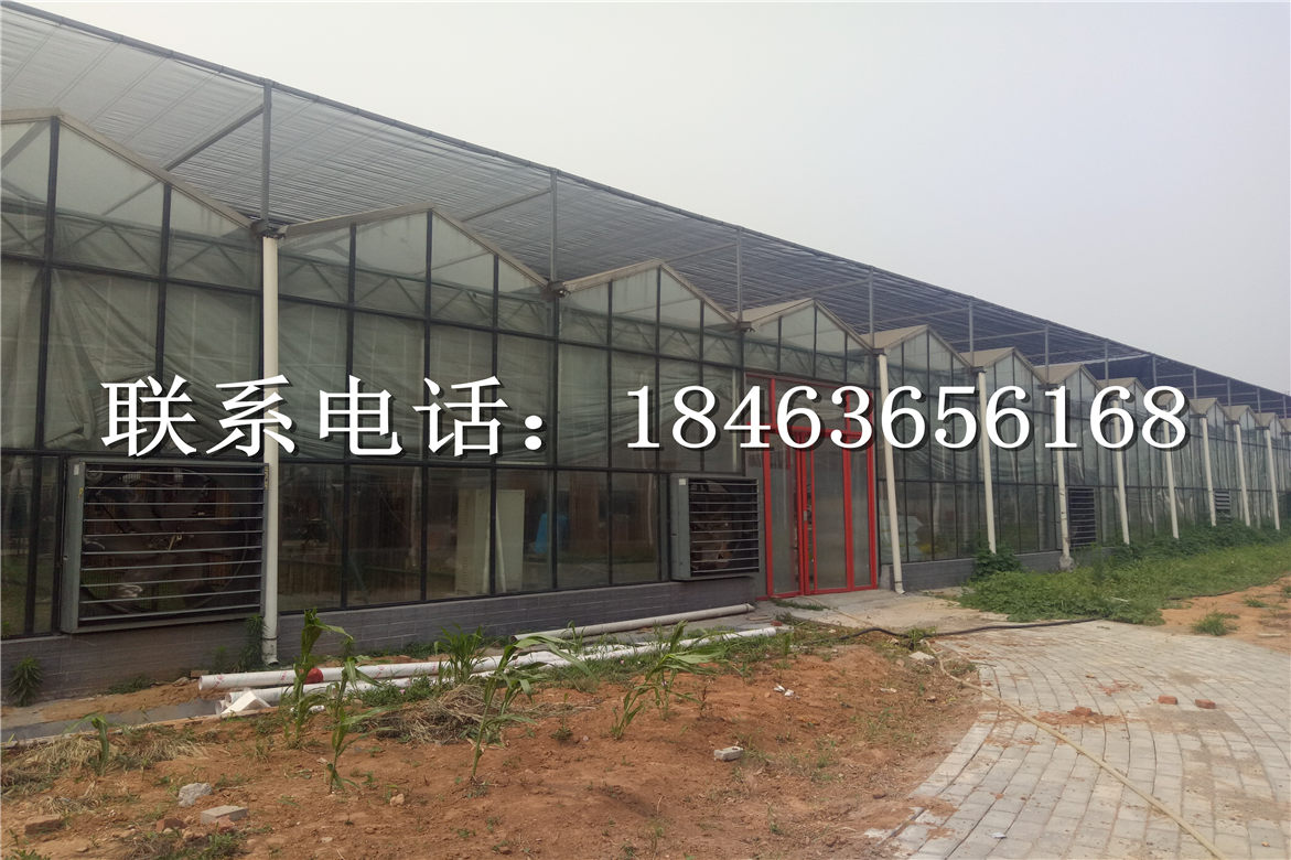长治玻璃温室价格，温室建设厂家&nbsp;&nbsp;温室大棚