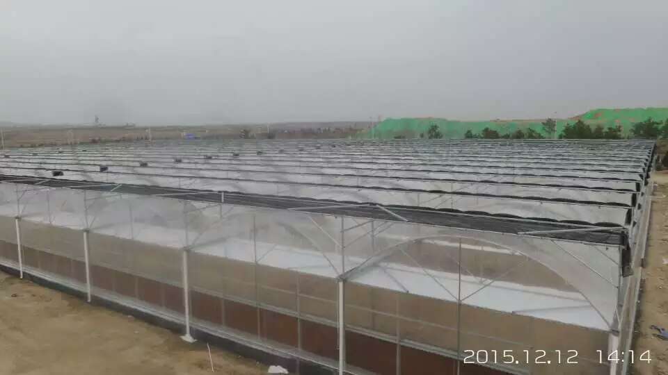 太原连栋薄膜温室，塑料温室大棚价格&nbsp;&nbsp;连栋薄膜大棚&nbsp;&nbsp;塑料温室价格&nbsp;&nbsp;圆形大棚