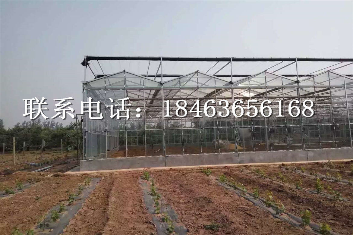 智能温室大棚，玻璃温室建设，温室大棚&nbsp;&nbsp;尖顶玻璃大棚&nbsp;&nbsp;智能玻璃温室