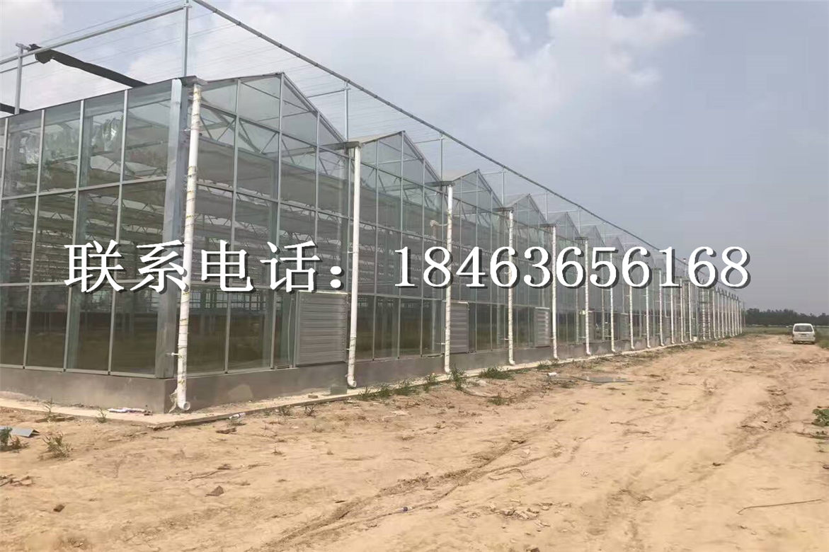 智能温室大棚，玻璃温室建设，温室大棚&nbsp;&nbsp;尖顶玻璃大棚&nbsp;&nbsp;智能玻璃温室