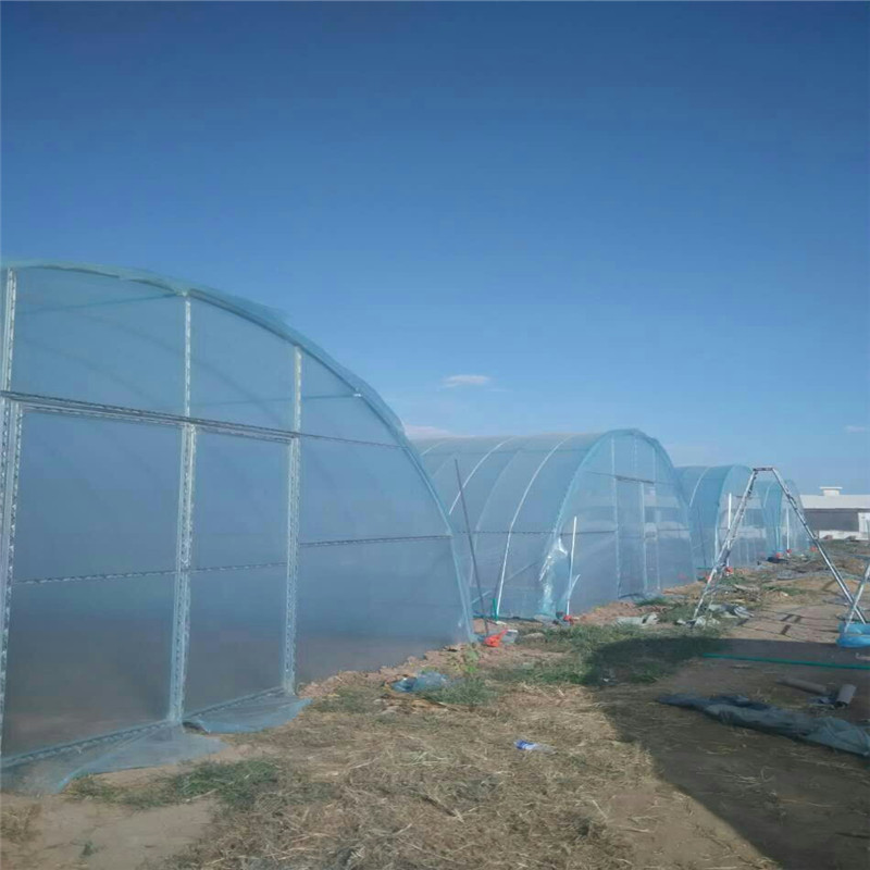 新旺兴农春秋种植大棚建设&nbsp;&nbsp;春秋大棚