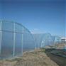 新旺兴农春秋种植大棚建设