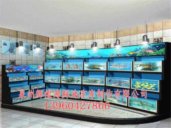 武汉海鲜池_武汉海鲜池设计安装_武汉专业&nbsp;&nbsp;厂家价格