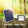 太阳能投光灯公园别墅小区户外照明