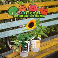 ecoey创意礼品乐乐盆栽塑料植物工艺品盆栽  创意绿植  迷你盆栽
