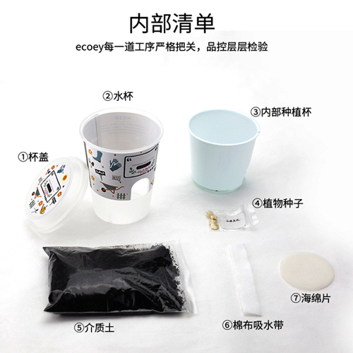 ecoey创意礼品乐乐盆栽塑料植物工艺品盆栽  创意绿植  迷你盆栽