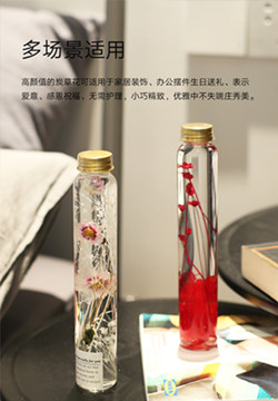 炭草花秘密小雏菊 永生花北欧工艺品摆件 情人节礼品  北欧软装  生日礼物