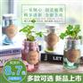 ecoey新品彩虹杯迷你盆栽微景观玻璃杯植物创意绿