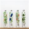 炭草花秘密小雏菊 永生花北欧工艺品摆件 促销情人节礼品