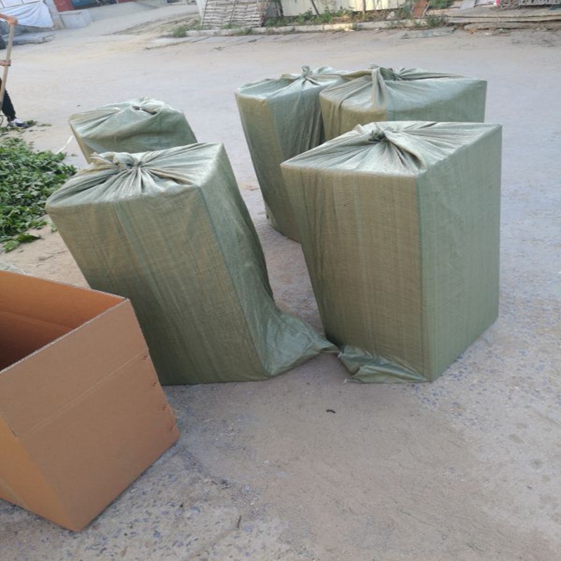 六盘水粉红公主草莓苗市场前景