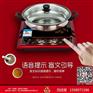 无障碍语音盲文电磁炉F20