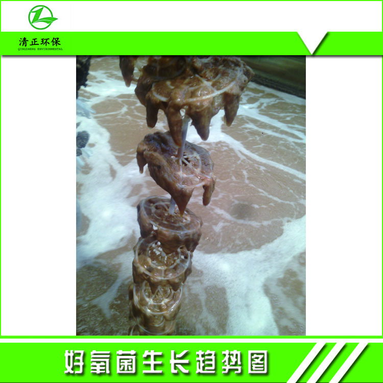 QZ-B01专用活性生物菌种  清正环保