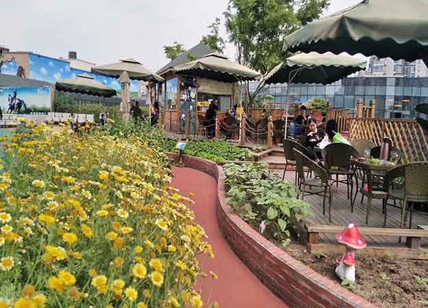 设计都市农场成都尚鼎丰值得信赖  屋顶菜园  亲子农场