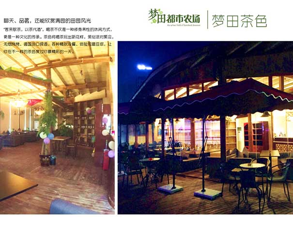规划阳台菜园成都尚鼎丰种类繁多
