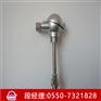 WRMB-240M带温变防爆热电偶