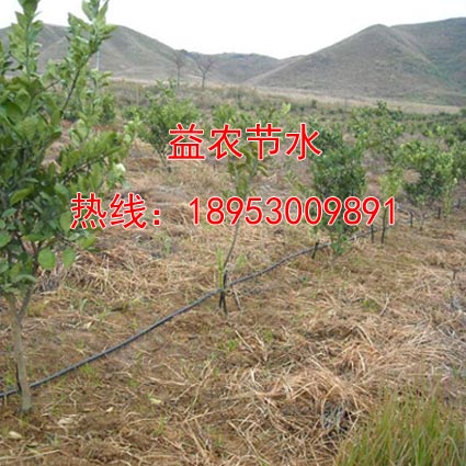 天门地插微喷组合经销商