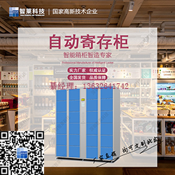 电子智能储物柜品牌 厂家直销 可定制 电子式  电子储物柜品牌