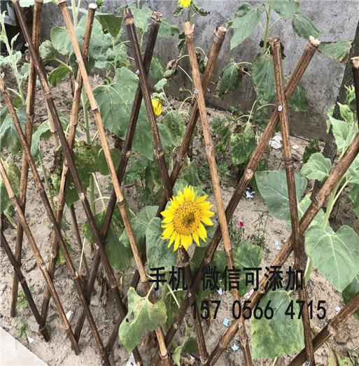 赣州市宁都县花园围栏庭院户外,生产厂家，采用原生料