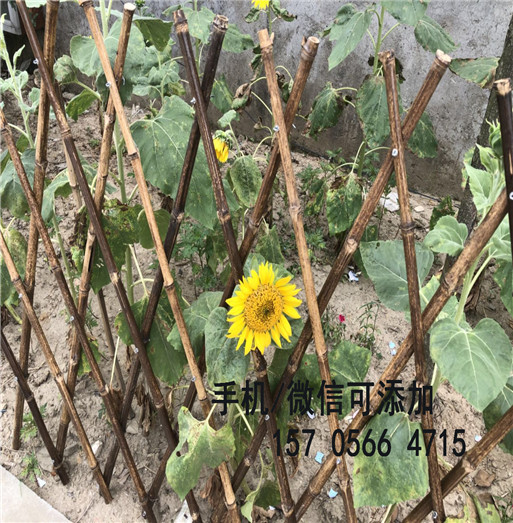 萍乡市安源区栅栏 别墅庭院护栏,色彩鲜亮、表面光洁