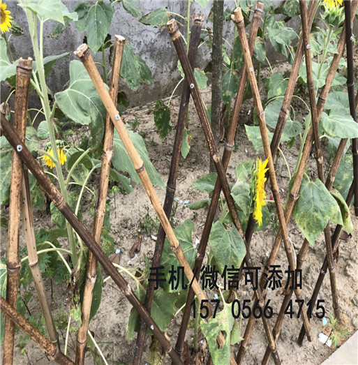 九江市浔阳区pvc护栏厂送立柱吗？包运费吗？