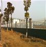 抚州市宜黄县花坛草坪护栏塑料栅栏送立柱吗？包运费吗？