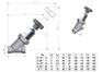 Burocco-手动阀FF-DN16-AISI316L