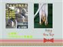 专业生产1吨2米白色吊装带经销点-5吨3吨白色吊装带