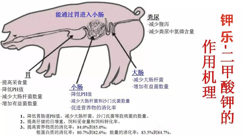 二甲酸钾对母猪及其仔猪生产性能的影响  二甲酸钾猪用添加剂  山东二甲酸钾