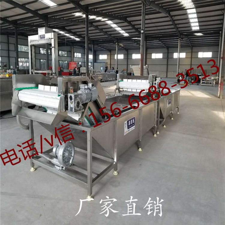 水果蔬菜气泡清洗设备  气泡清洗机  清洗流水线  果蔬清洗机