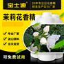 【宝士迪】专业茉莉花香精研发生产香精厂家，香味纯正