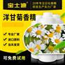【宝士迪】专业洋甘菊香精生产厂家，严选进口原料