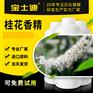 桂花香精采购？选择宝士迪香精！