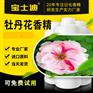 【宝士迪】专业牡丹花香精生产厂家，严选进口原料