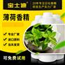 薄荷香精采购？选择宝士迪香精！厂家直销薄荷香精