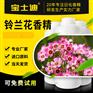 【宝士迪】专业铃兰花香精生产厂家，严选进口原料