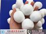 安阳纤维球滤料厂