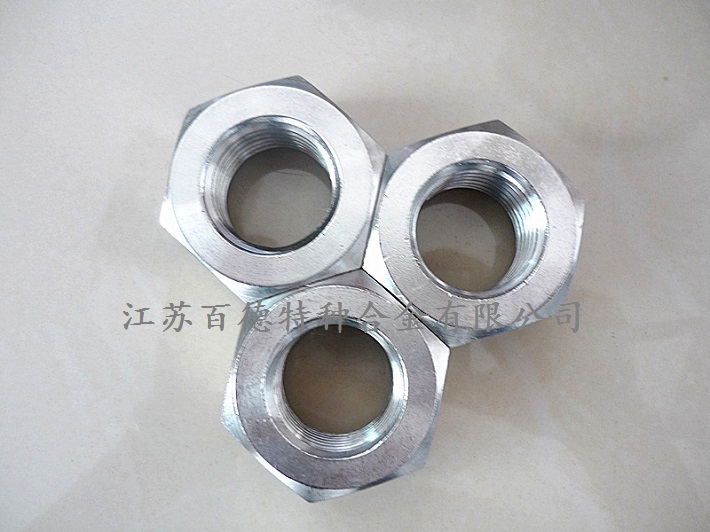 耐蚀合金318(3Cr17Ni7Mo2N)螺母 