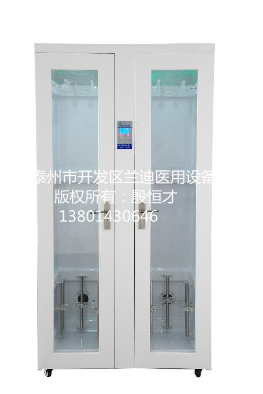 泰州兰迪厂家直销内镜储存柜（双门）&nbsp;&nbsp;医用内镜储存柜