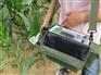 光合作用测定仪是研究植物光合作用的利器