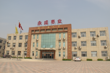 沧州永成枣业种植有限公司