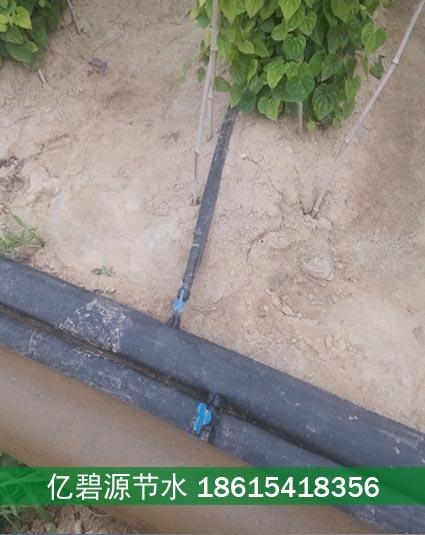 商丘山药滴灌水肥一体化施肥设备  商丘山药滴灌施肥