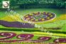 新园五色草观叶立体造型-时钟