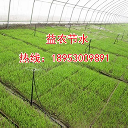 襄阳温室地插微喷灌溉施肥机  襄阳地插微喷