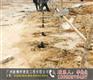佛山微型树根桩工程公司