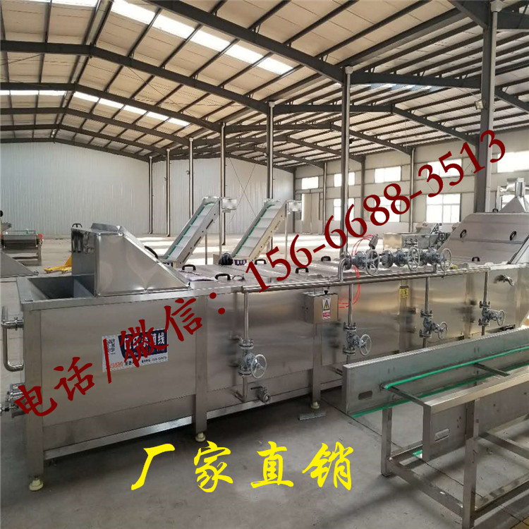 魔芋素毛肚巴氏杀菌设备 清洗预煮解冻整套设备  预煮流水线  素毛肚解冻设备
