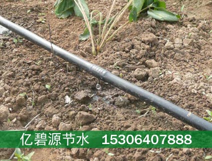 安阳大田蔬菜滴灌管安装施工  安阳蔬菜滴灌管