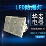 BAX1208 LED防爆节能专用型路灯 防爆路灯LED